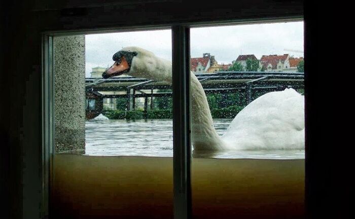 So There's Been A Bit Of Rain In Ireland Recently