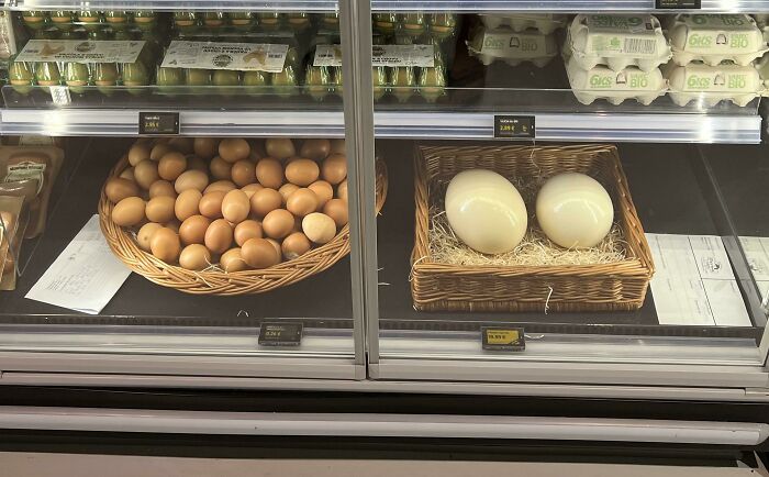 My Local Grocery Store Sells Ostrich Eggs