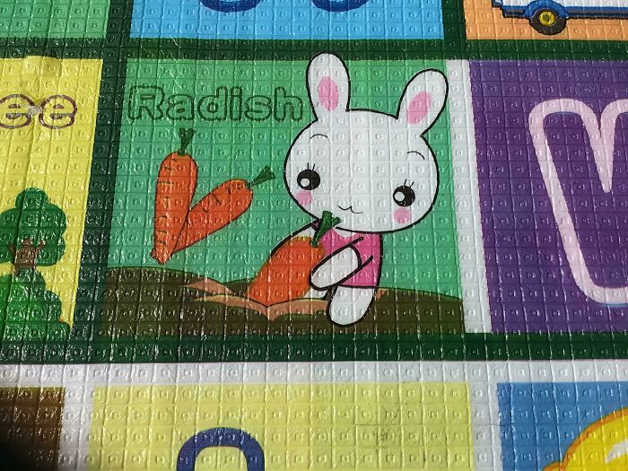 My Baby Brother’s Play Mat Isn’t Correct ,or Is It?