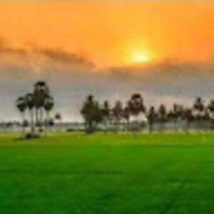 valentinadcosta avatar