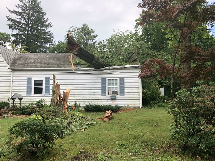 Got A Call Earlier That A Tree Fell On My House