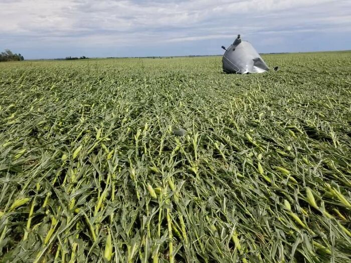 Iowa Corn Flattened By 100mph Winds