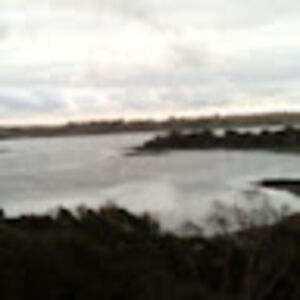 millamazzotta avatar