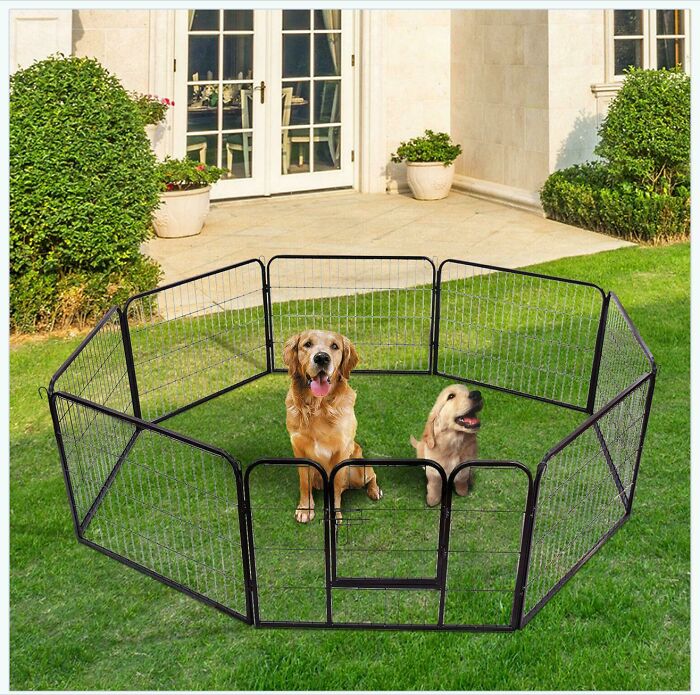 This Ad For A Dog Fence, I Mean Look At The Puppy!