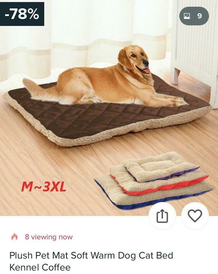 Call Me Crazy But I’m Pretty Sure There Isn’t An Actual Dog On The Bed