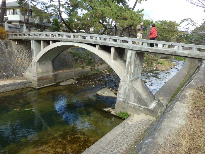 A Footbridge With Knee-High Sides