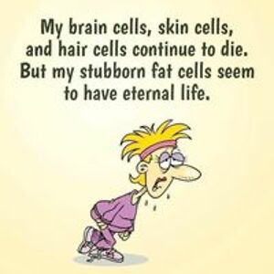 maryricketts16 avatar