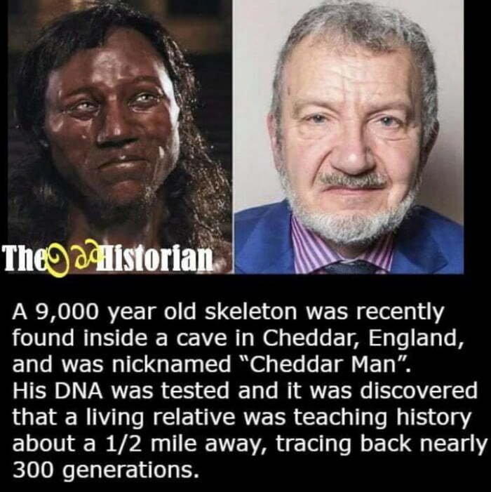 In Case You Didn't See The News, 9,000 Year Old Cheddar Man Descendant In Case You Didn't See The News, 9,000 Year Old Cheddar Man Descendant
