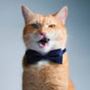 lee-anngilliam_1 avatar