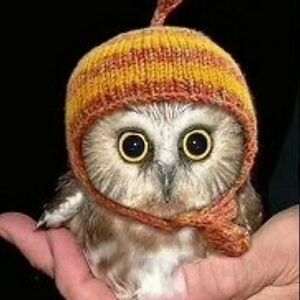 craftgenius_lm avatar