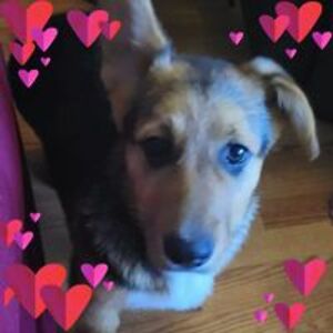 winwithtrish1 avatar