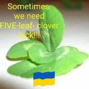 bleu_jay_lady avatar