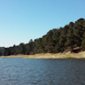 nyoikemuthubi avatar