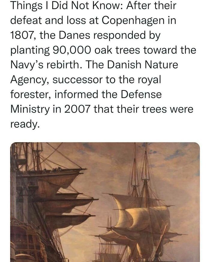 Memes-History-For-The-Witty