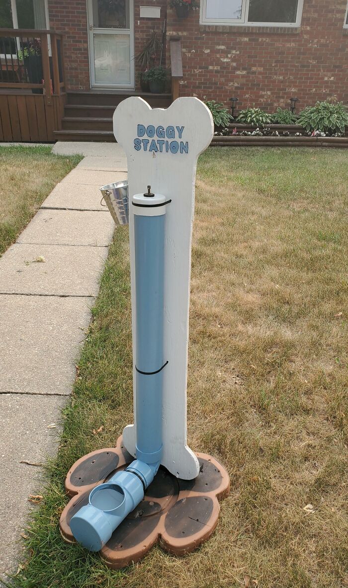 A Neighbor Put Out A Doggy Station With Treats And Water. To Help Dogs Cool Down During The Heat Wave We Are Having