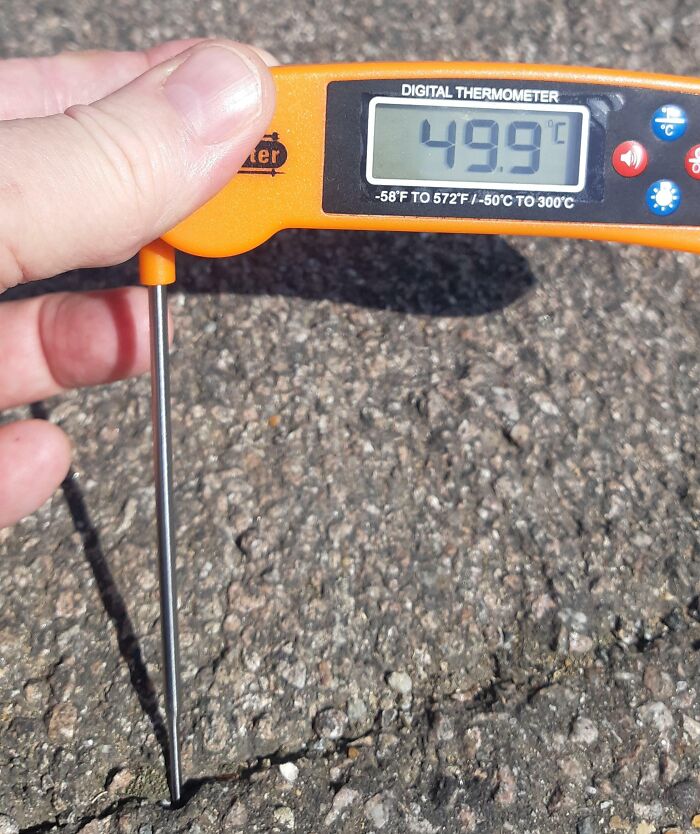 Measured The Road Temperature Outside My House - Don't Walk Dogs In This Heat