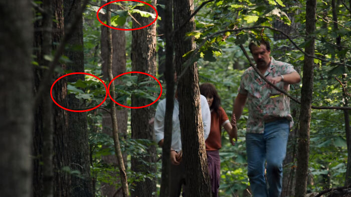 In "Stranger Things 3", Chapter 5: The Flayed, We See Bigleaf Magnolia (𝘔𝘢𝘨𝘯𝘰𝘭𝘪𝘢 𝘮𝘢𝘤𝘳𝘰𝘱𝘩𝘺𝘭𝘭𝘢). This Species Grows In West Georgia Where The Show Was Filmed, But Not In Indiana Where The Story Happens