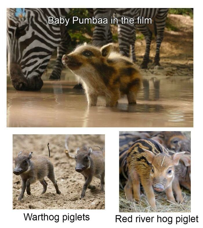 In The Lion King (2019), Baby Pumbaa Looks Nothing Like A Warthog Piglet
