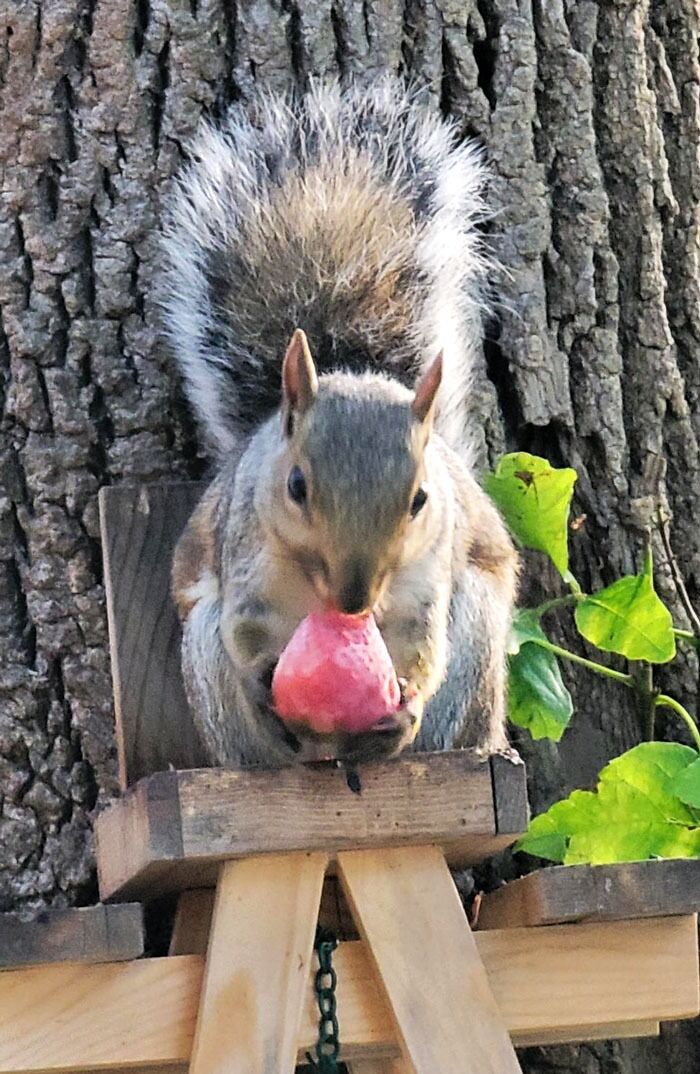 Enjoying A Frozen Treat