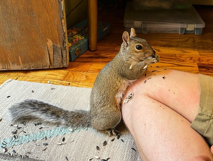 Most Tables Have Legs, But Has Your Leg Ever Been A Table?