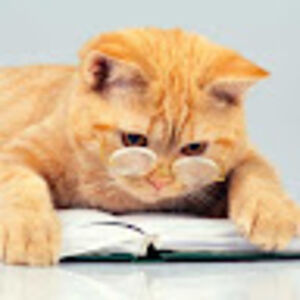 kathleenmccann avatar