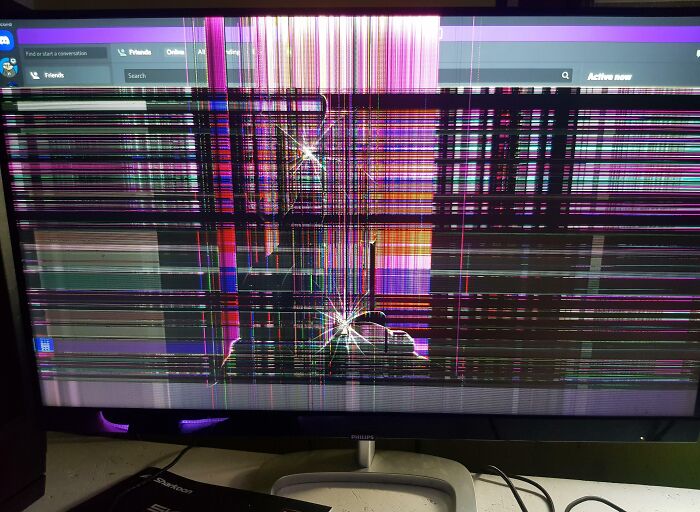 My Mother Destroyed My Computer Screen Because My Dogs Woke Her Up