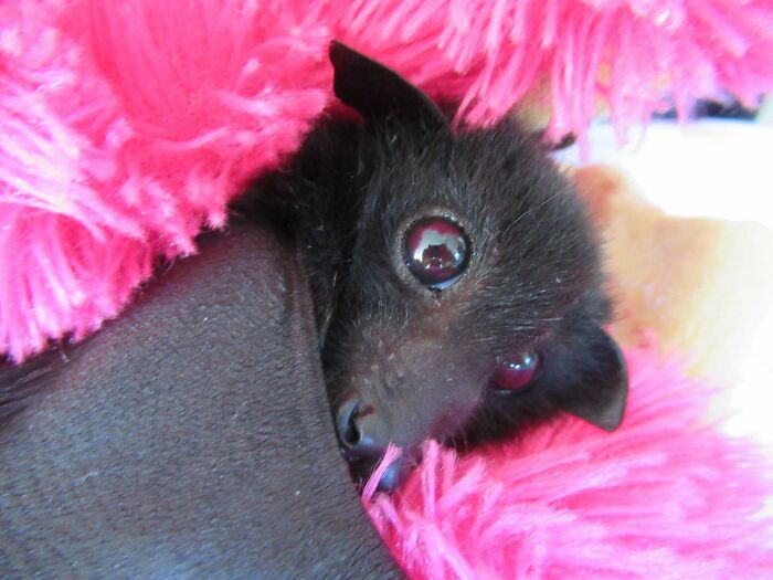 Looking Straight To Your Heart