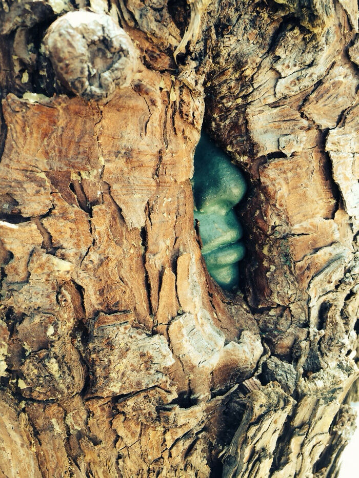 Este árbol creció alrededor de una escultura, haciendo que parezca que hay un hombre atrapado en su interior
