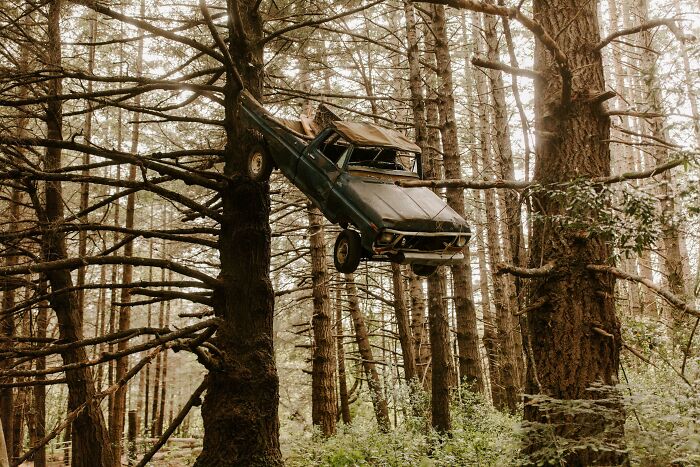 During An Engagement Shoot, We Came Across This Truck In A Tree