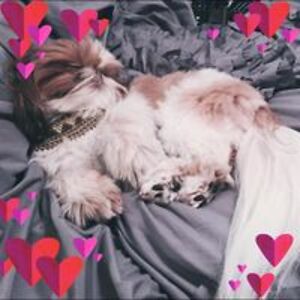 righteousrecycling avatar