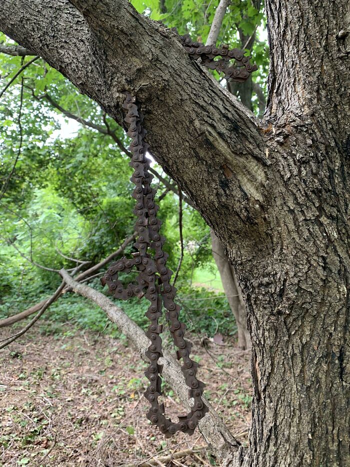 Tree 1, Chainsaw 0