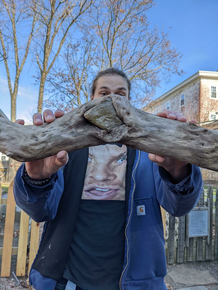 My Friend's Mom Found This Awesome Piece Of Wood Swallowing A Rock