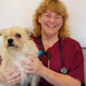 valeriehayden avatar