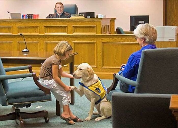 Este buen chico ayuda a los niños a testificar