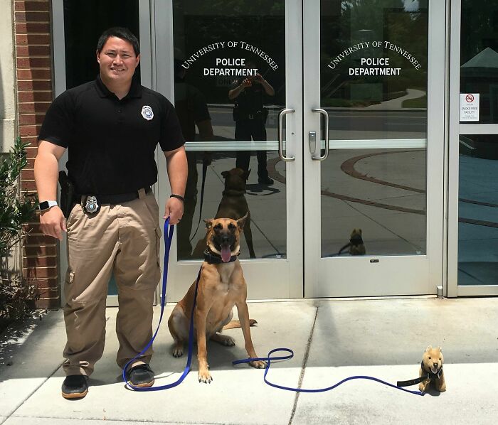 When It's Bring Your Dog To Work Day, But You're A K-9 Unit
