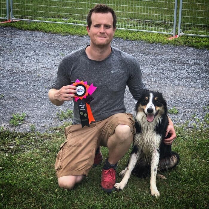 Hendrix Won 2nd Overall At A 2-Day Sheep Herding Trial This Weekend (Novice Class)