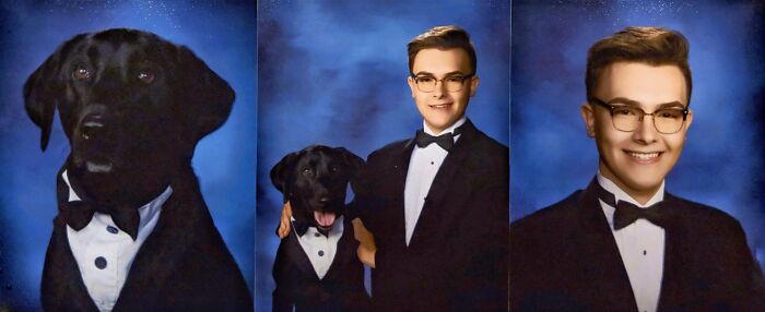 My Service Dog's Senior Pictures