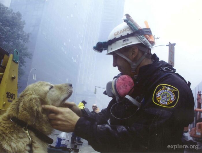 El 11 de septiembre, nos gustaría honrar a los hombres, mujeres y perros que arriesgaron y perdieron sus vidas
