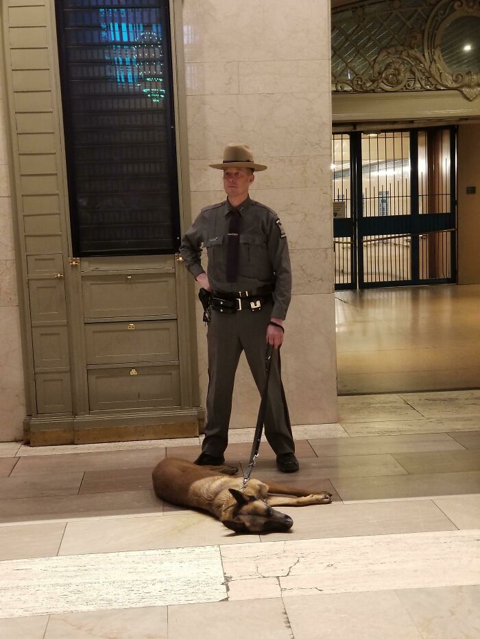 Saw This Pupper All Tuckered Out From Doing His Job At Grand Central Station In NYC