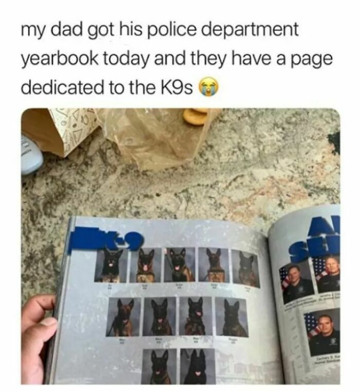 Now That's The Kind Of Yearbook I Wanna See!