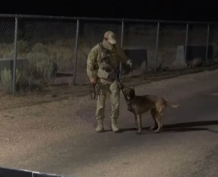I'm Surprised No One Is Talking About This Good Boy Guarding Area 51