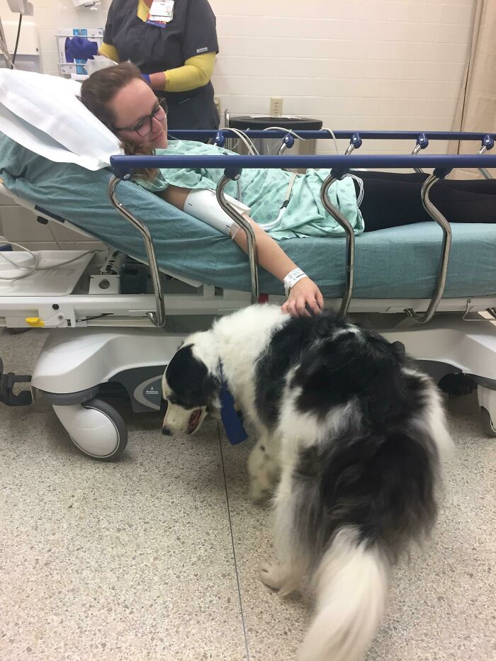 I Was In The Er Yesterday And My Rn Brought Her Therapy Dog In For Me To Pet. Johnny Brought Out My First Smile Of The Day And He’s Such A Good Boy