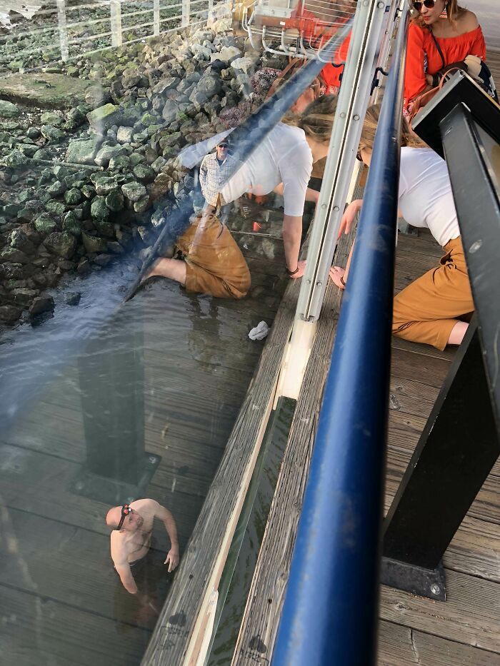 For Anyone Who Doubted If True Love Exists: A Guy Rooting Around In The Disgusting Brackish Water As He Searches For His Wife’s iPhone X Which Slipped Out Of Her Pocket