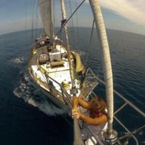 laurihamilton avatar