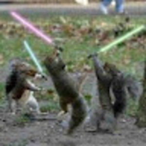 karensuwaizdis avatar