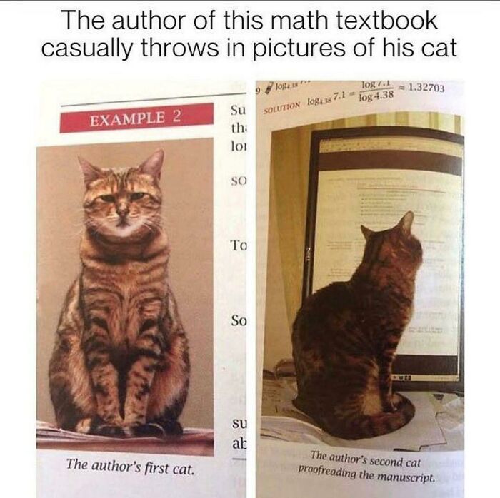 The Only Good Math Book