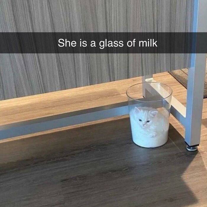 Please Do Not Drink The Milk
