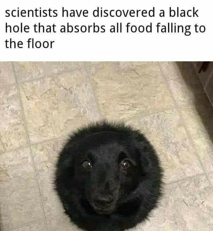 Nothing Can Escape The Void