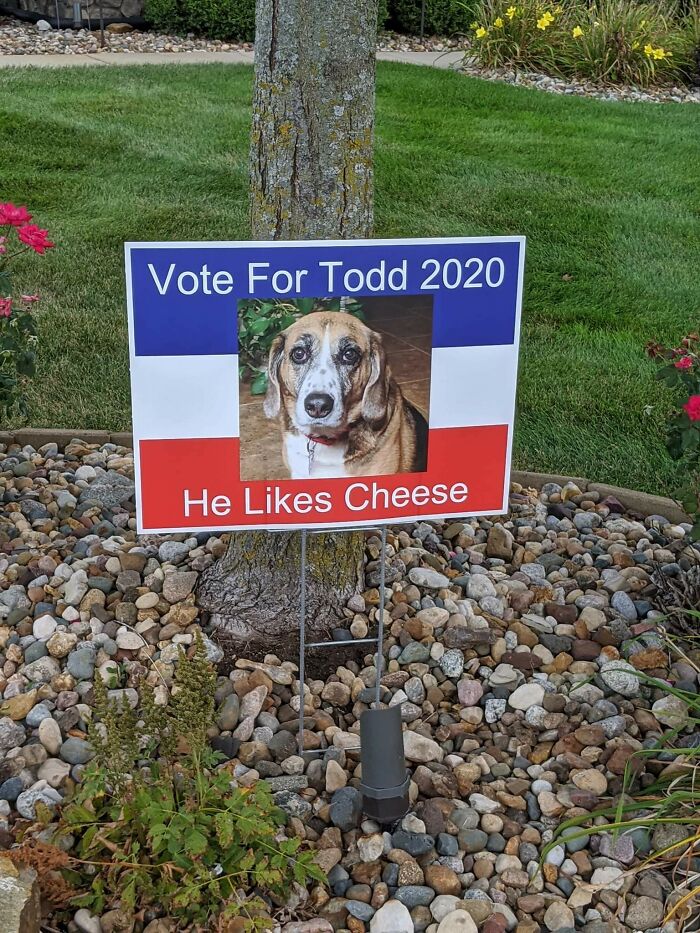 My Wife And I Put Up Our Own Candidate This Year