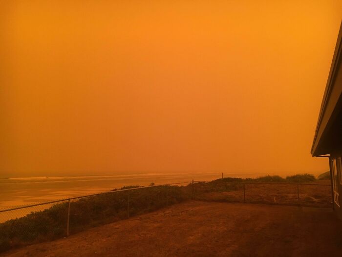 Oregon Coast During The Wildfires, Raining Ash